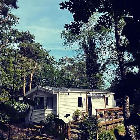 Knus Chalet Midden In De Bossen Nunspeet Luaran gambar