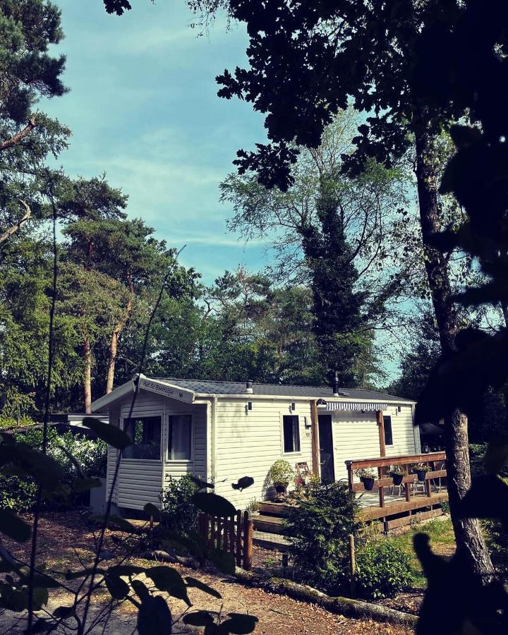 Knus Chalet Midden In De Bossen Nunspeet Luaran gambar