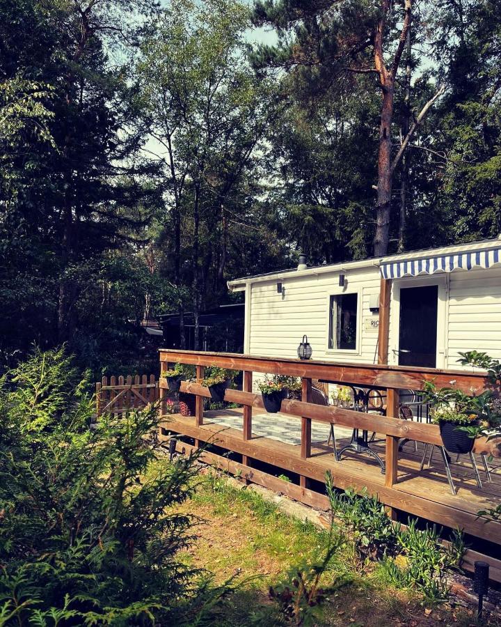 Knus Chalet Midden In De Bossen Nunspeet Luaran gambar